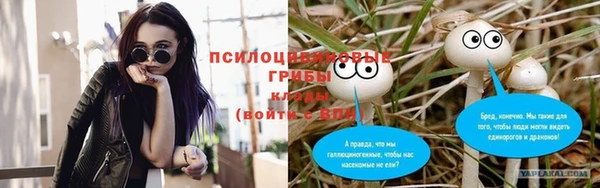 герыч Осинники