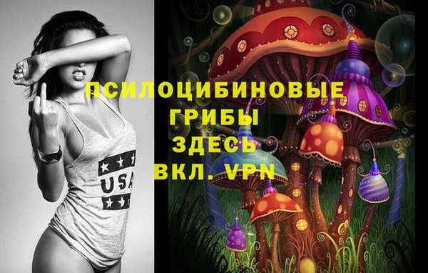 гашик Осташков