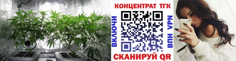ТГК THC oil Хилок