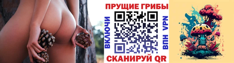 Псилоцибиновые грибы GOLDEN TEACHER Хилок
